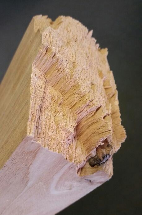 Fig. Upset in timber