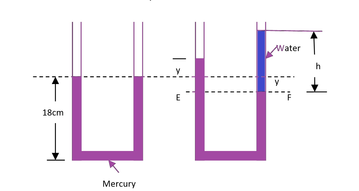 The fig. shows a 1cm diameter U-tube containing mercury. If now 20cc of water is poured into the right leg, find the levels of the free liquid surfaces in the two tubes.